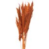 Clayre & Eef 5DF0013 Fiori secchi di bambù 90 cm (10) Arancione