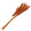 Clayre & Eef 5DF0013 Fiori secchi di bambù 90 cm (10) Arancione