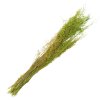 Clayre & Eef 5DF0016 Fiori secchi 90 cm (50 gr) Verde