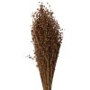 Clayre & Eef 5DF0017 Fiori secchi 60 cm (100 gr) Beige