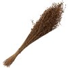 Clayre & Eef 5DF0017 Fiori secchi 60 cm (100 gr) Beige