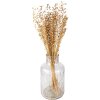 Clayre & Eef 5DF0017 Fiori secchi 60 cm (100 gr) Beige