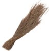 Clayre & Eef 5DF0020 Fiori secchi 55 cm (100 gr) Beige