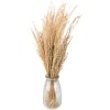 Clayre & Eef 5DF0020 Fiori secchi 55 cm (100 gr) Beige