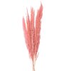 Clayre & Eef 5DF0022 Fiori secchi 100 cm (10) Rosa