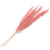 Clayre & Eef 5DF0022 Fiori secchi 100 cm (10) Rosa