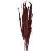 Clayre & Eef 5DF0023 Fiori secchi 100 cm (10) Marrone