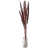 Clayre & Eef 5DF0023 Fiori secchi 100 cm (10) Marrone