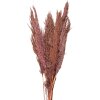 Clayre & Eef 5DF0024 Fiori secchi di bambù 100 cm (10) Rosa