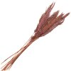 Clayre & Eef 5DF0024 Fiori secchi di bambù 100 cm (10) Rosa