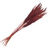 Clayre & Eef 5DF0032 Fiori secchi di bambù 100 cm (10) Rosso