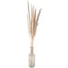 Clayre & Eef 5DF0034 Fiori secchi 100 cm (10) Beige