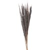 Clayre & Eef 5DF0035 Fiori secchi 100 cm (10) Grigio