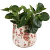 Clayre & Eef 6CE1549M Vaso da fiori in ceramica Ø 18x16 cm Rosa Beige Stile Barocco