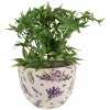 Clayre & Eef 6CE1553M Vaso da fiori decorativo Ø 20x15 cm Viola - Verde