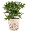 Clayre & Eef 6CE1555M Vaso da fiori decorativo Ø 14x13 cm Rosa Beige