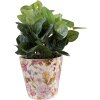 Clayre & Eef 6CE1562S Vaso da fiori decorativo Ø 14x13 cm Rosa - Beige
