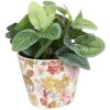 Clayre & Eef 6CE1562XS Decorazione vaso da fiori Ø 12x10 cm Rosa - Beige