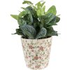 Clayre & Eef 6CE1566L Vaso da fiori decorativo Ø 19x18 cm Rosa - Beige