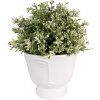 Clayre & Eef 6CE1570M Vaso da fiori decorativo Ø 14x12 cm Bianco