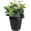 Clayre & Eef 6CE1579L Vaso da fiori decorativo Ø 16x16 cm Grigio