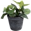 Clayre & Eef 6CE1579M Vaso da fiori decorativo Ø 12x10 cm Grigio