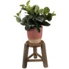 Clayre & Eef 6H2216 Fioriera da tavolo Ø 18x21 cm Marrone