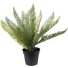 Clayre & Eef 6PL0225 Decorazione Pianta artificiale 50x50x38 cm Verde