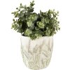 Clayre & Eef 6TE0463S Vaso da fiori Ø 13x13 cm Verde - Beige