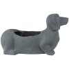 Clayre & Eef 6TE0479 Vaso di fiori per cani 30x12x16 cm Grigio