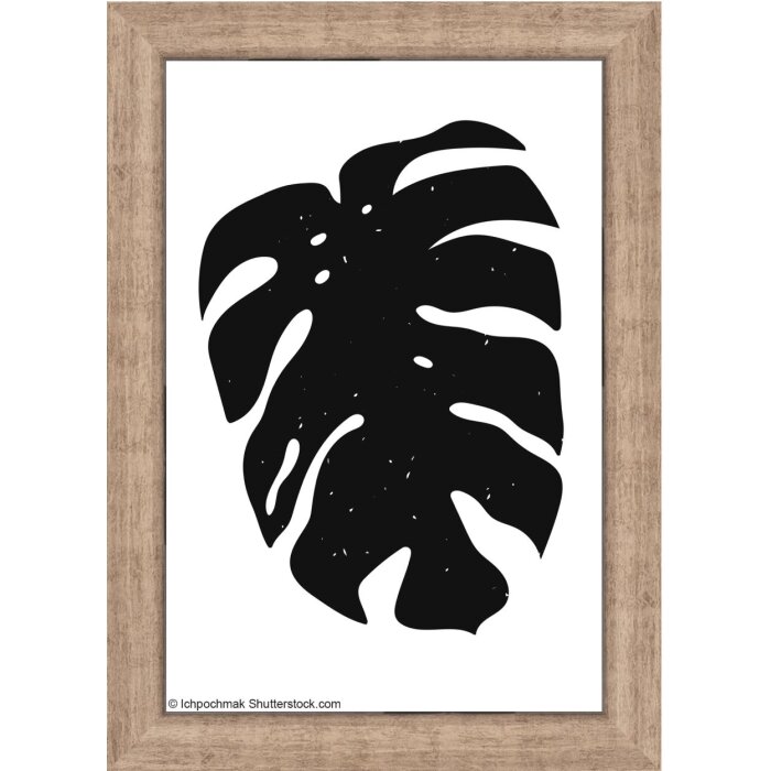 Walther Cornice in legno Liv Monstera 10x15 cm Grigio