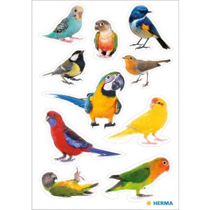 HERMA 15477 Uccelli adesivi multicolore Set decorativo di...