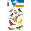HERMA 15477 Uccelli adesivi multicolore Set decorativo di uccelli