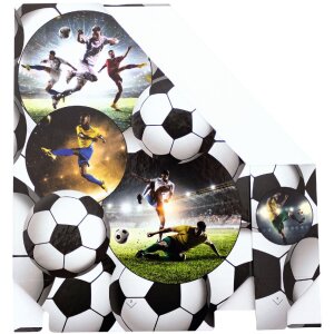HERMA 19716 Organizzatore di cartelle in cartone A4 design calcio foro di presa
