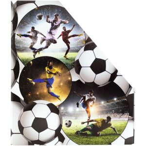 HERMA 19716 Organizzatore di cartelle in cartone A4 design calcio foro di presa