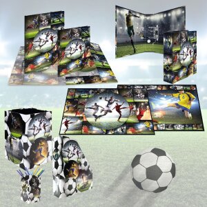 HERMA 19716 Organizzatore di cartelle in cartone A4 design calcio foro di presa