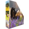 HERMA 19718 Cartella per riviste A4 in cartone design cavallo foro maniglia