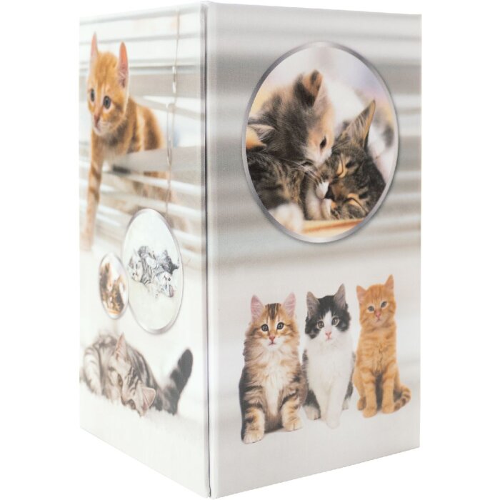 HERMA 19733 Portamatite design gatto in cartone 8x13,5 cm