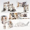 HERMA 19733 Portamatite design gatto in cartone 8x13,5 cm