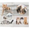 HERMA 19733 Portamatite design gatto in cartone 8x13,5 cm