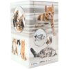 HERMA 19733 Portamatite design gatto in cartone 8x13,5 cm