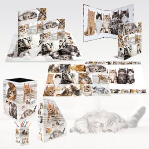 HERMA 19740 Cestino in carta straccia design gatto in...