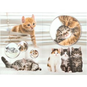 HERMA 19740 Cestino in carta straccia design gatto in cartone 22x31,5 cm