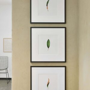 Nielsen Quadrum cornice in legno 50x50 cm rovere natura normale vetro montaggio a parete