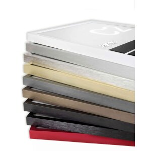 Cornice Nielsen in alluminio C2 struttura argento opaco 42x59,4 cm vetro acrilico