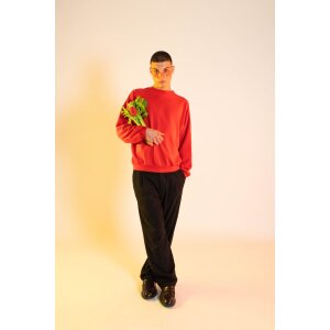 EatMySocks Calzini corti Pretty Rose Red Idea regalo 100% cotone