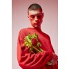 EatMySocks Calzini corti Pretty Rose Red Idea regalo 100% cotone