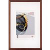 Walther cornice in legno Select 10x15 cm vetro artistico marrone