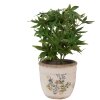 Clayre & Eef 6CE1607M Vaso per interni Beige Giallo Ø 16x14 cm