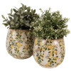 Clayre & Eef 6CE1608M Vaso da fiori per interni Beige Giallo Ø 15x15 cm